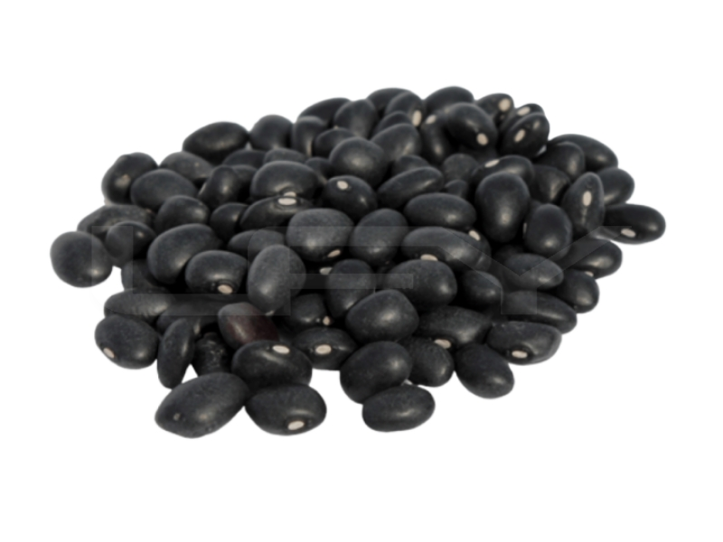 Kacang Hitam/ Black Bean/ 青仁黑豆